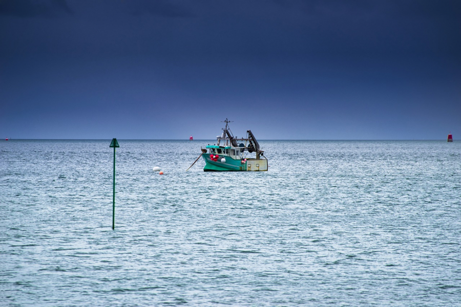 Pourquoi les vacanciers d'Argelès préfèrent réserver dans un camping en bord de mer ?